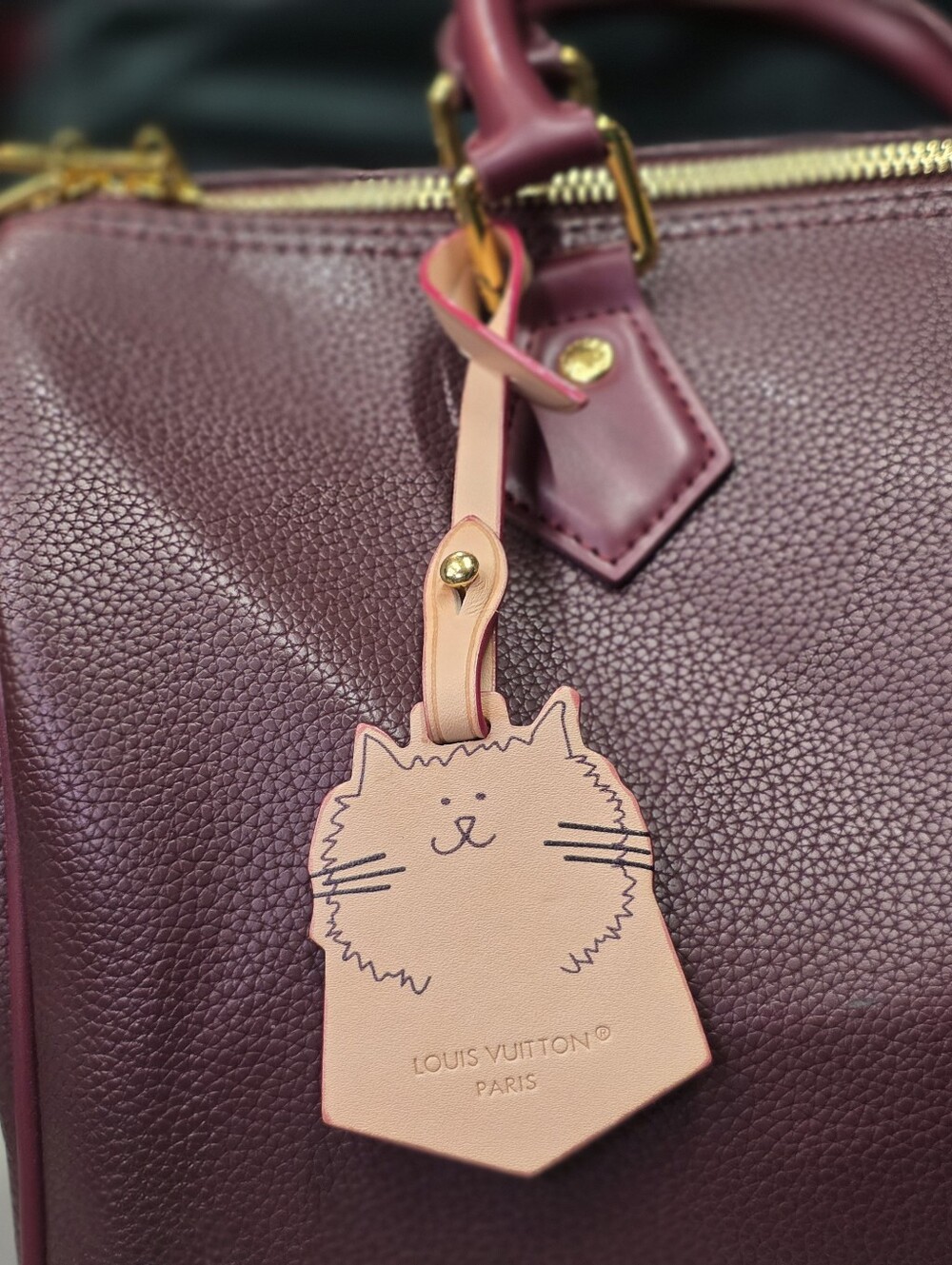 Speedy Soft 30  With Cat Bag Charm And Lock And Key. - Picture 5 of 16